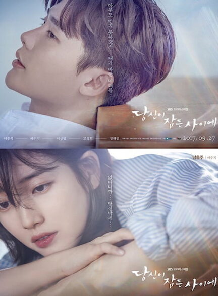 دانلود سریال While You Were Sleeping 2017