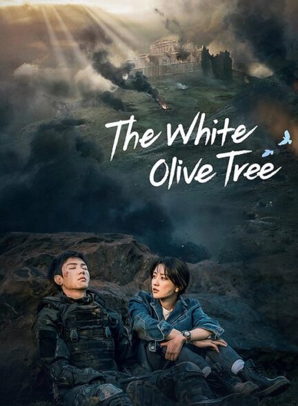 دانلود سریال چینی ۲۰۲۵ The White Olive Tree