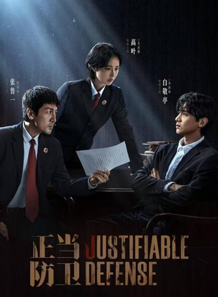 دانلود سریال Justifiable Defense 2025