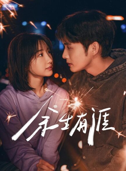 دانلود سریال چینی Light beyond the Reed 2025