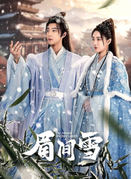 دانلود سریال The Missing Snowflakes 2024