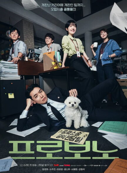 دانلود سریال Pro Bono 2025