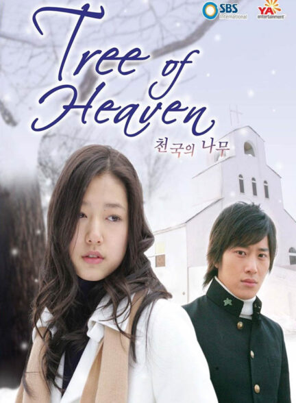 دانلود سریال کره ای درخت بهشتی Tree of Heaven